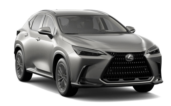 LEXUS NX 250 SIGNATURE 2024 photo-3