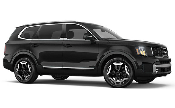 2025 Kia Telluride EX photo-3