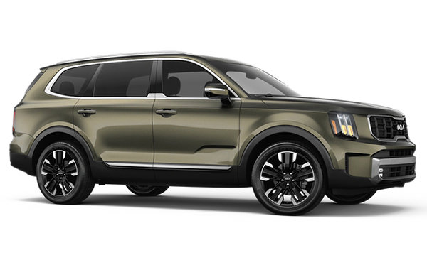 2025 Kia Telluride SX LIMITED photo-3