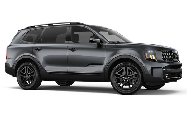 2025 Kia Telluride X-LINE photo-3