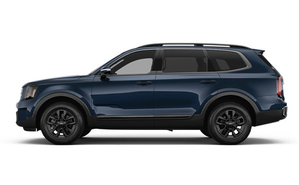 2025 Kia Telluride X-PRO photo-0