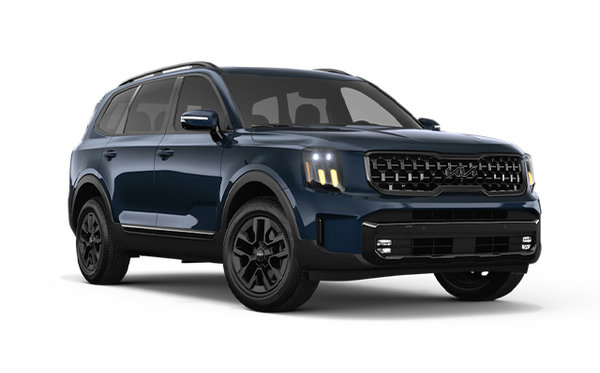 2025 Kia Telluride X-PRO photo-3
