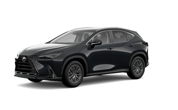 2025 LEXUS NX 250 SIGNATURE