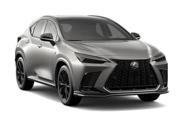 2025 LEXUS NX 350 F SPORT photo-3