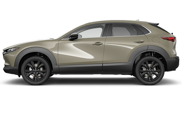 2025 MAZDA CX-30 SUNA photo-0