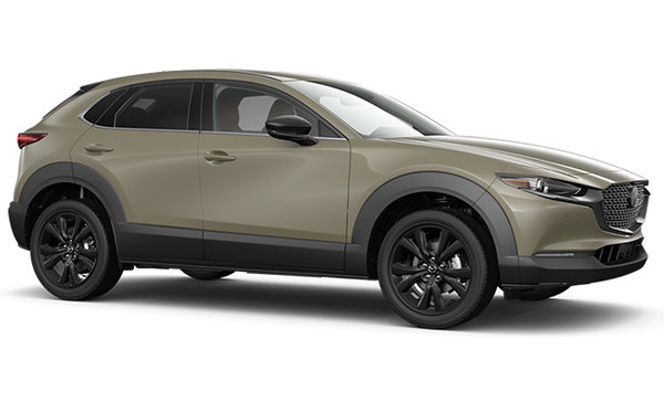 2025 MAZDA CX-30 SUNA photo-3