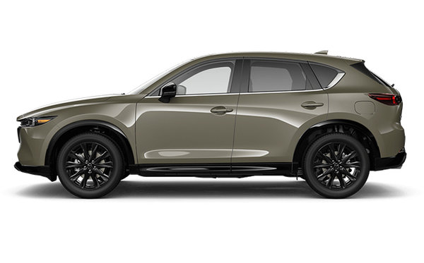 2025 MAZDA CX-5 SUNA photo-0