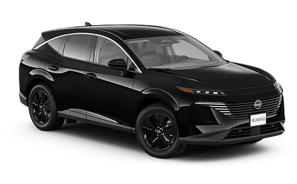 2025 NISSAN MURANO SV photo-3
