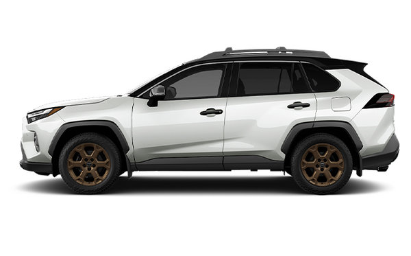 TOYOTA RAV4 HYBRIDE WOODLAND 2025 photo-0