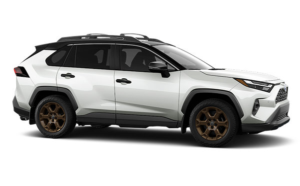 TOYOTA RAV4 HYBRIDE WOODLAND 2025 photo-3
