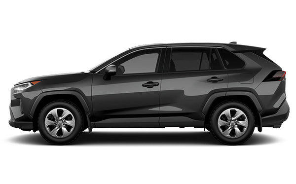 2025 TOYOTA RAV4 LE photo-0