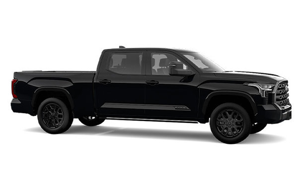 2025 TOYOTA TUNDRA CREWMAX PLATINUM L photo-3