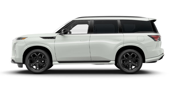 2026 INFINITI QX80 SPORT photo-0