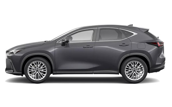 LEXUS NX Hybride Branchable LUXE 2026 photo-0