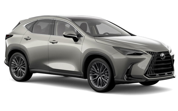 2026 LEXUS NX EXECUTIVE photo-3