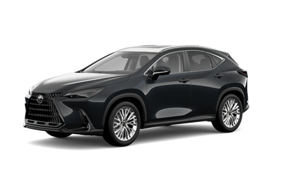 2026 LEXUS NX LUXUY