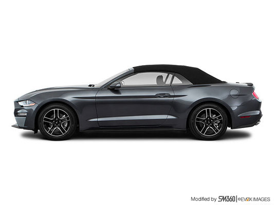 FORD MUSTANG CONVERTIBLE ECOBOOST PREMIUM 2023 photo-3
