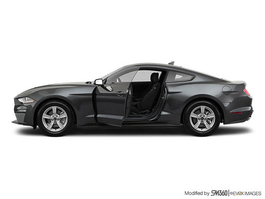 FORD MUSTANG FASTBACK ECOBOOST 2023 photo-0