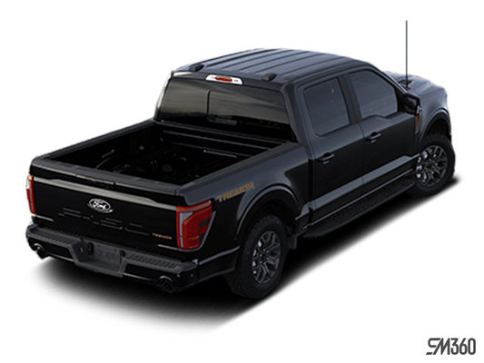 FORD F-150 TREMOR 2024 photo-3