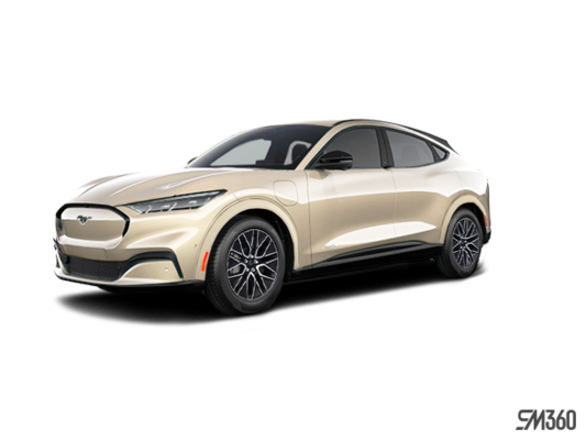 2025 FORD MUSTANG MACH-E PREMIUM RWD