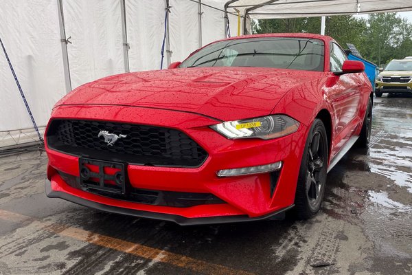 Mustang ECOBOOST FASTBACK *AUTOMATIQUE* BLUETOOTH *BAS KM