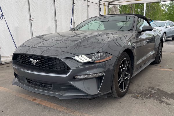 Mustang ECOBOOST 101A *CONVERTIBLE* CARPLAY 310HP*BAS KM*