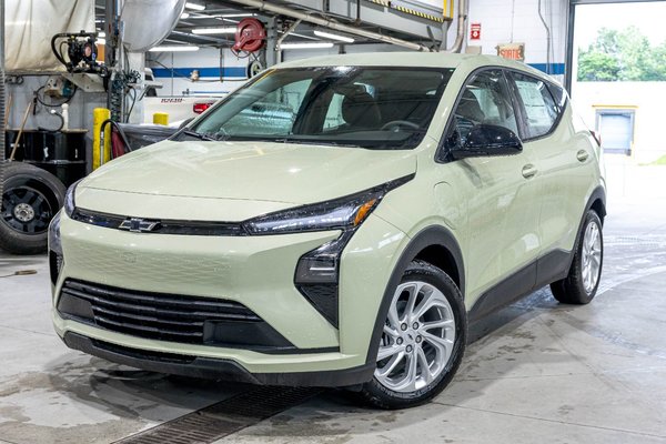 Bolt LT