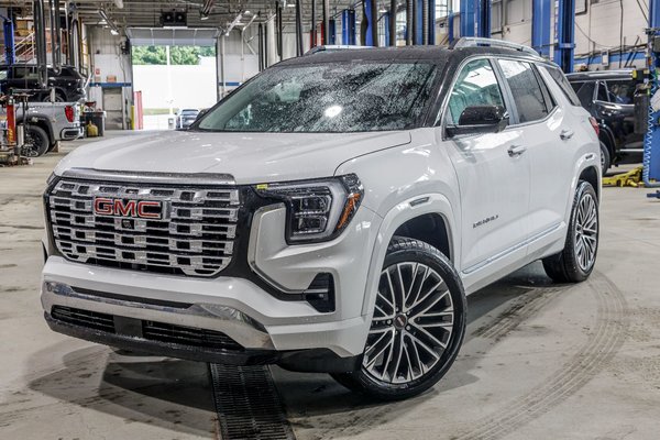 Terrain Denali