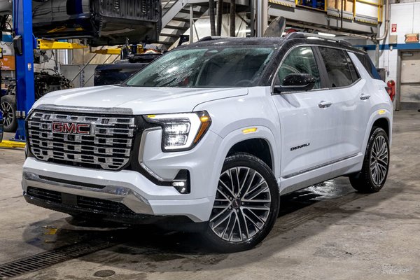 Terrain Denali