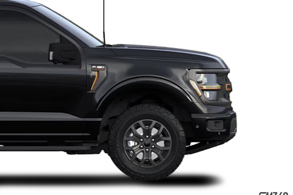 Ford F-150 TREMOR 2024 - photo 4
