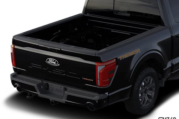 Ford F-150 TREMOR 2024 - photo 1