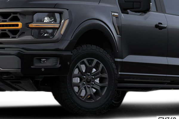 Ford F-150 TREMOR 2024 - photo 3