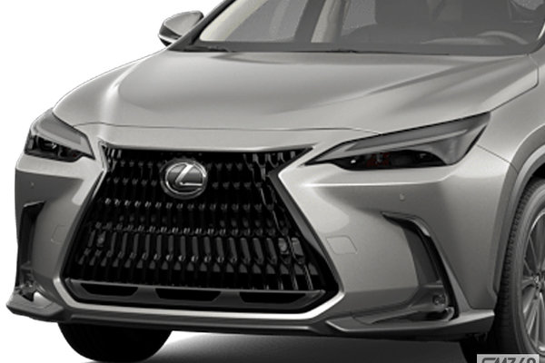 Lexus NX 250 Signature 2024 - photo 3