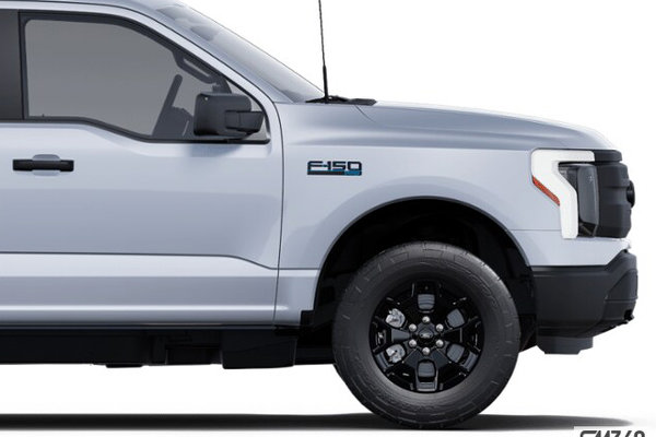 Ford F-150 Lightning PRO 2025 - photo 1