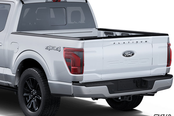 Ford F-150 PLATINUM 2025 - photo 3