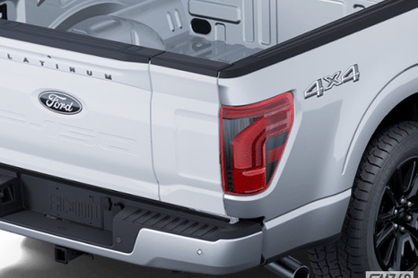 Ford F-150 PLATINUM 2025 - photo 4