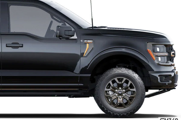 Ford F-150 TREMOR 2025 - photo 1