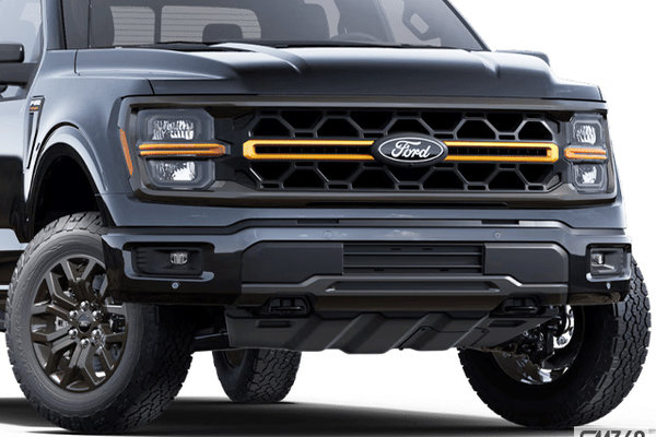 Ford F-150 TREMOR 2025 - photo 4