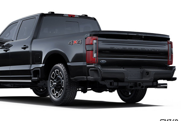 Ford Super Duty F-350 SRW Platinum 2025 - photo 3
