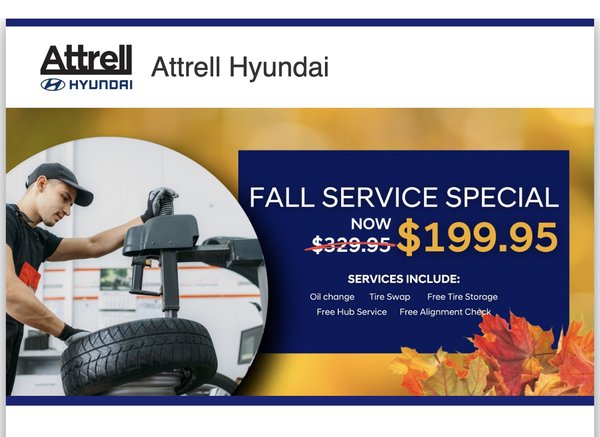 Fall service Special