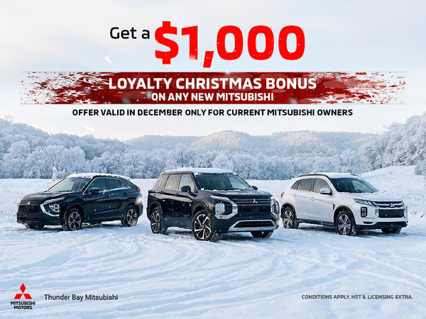 Loyalty Christmas Bonus
