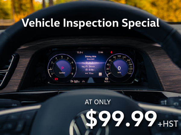 Vehicle Inspection Special
