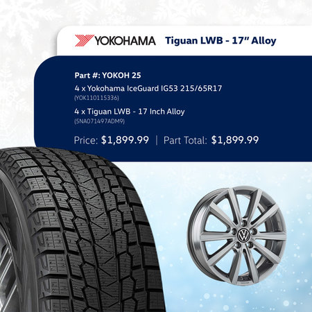 Tiguan LWD – 17″ Alloy