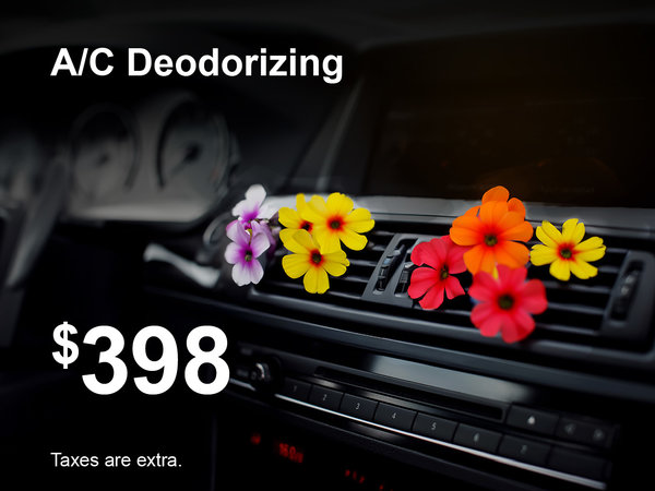 A/C Deodorizing Special