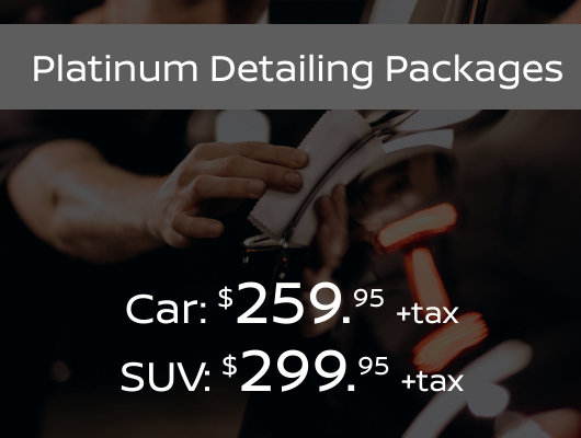 Platinum Detailing Package