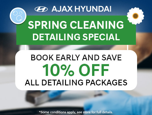 Spring Cleaning Detailing Special
