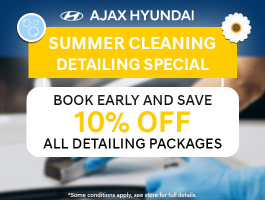 Summer Cleaning Detailing Special