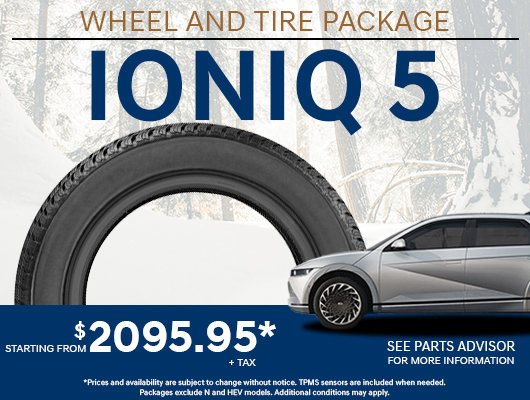 Ioniq 5 Winter Tire Package