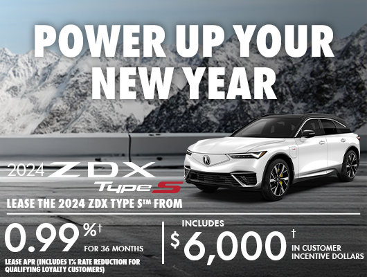 Power Up Your New Year - ZDX