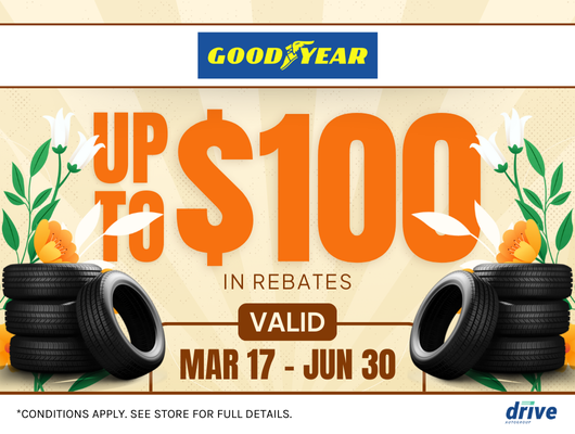 Good Year Tire Rebate 2025
